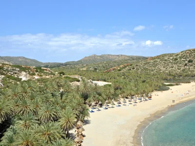 PALM FOREST OF VAI: A TROPICAL CRETAN SIGHT